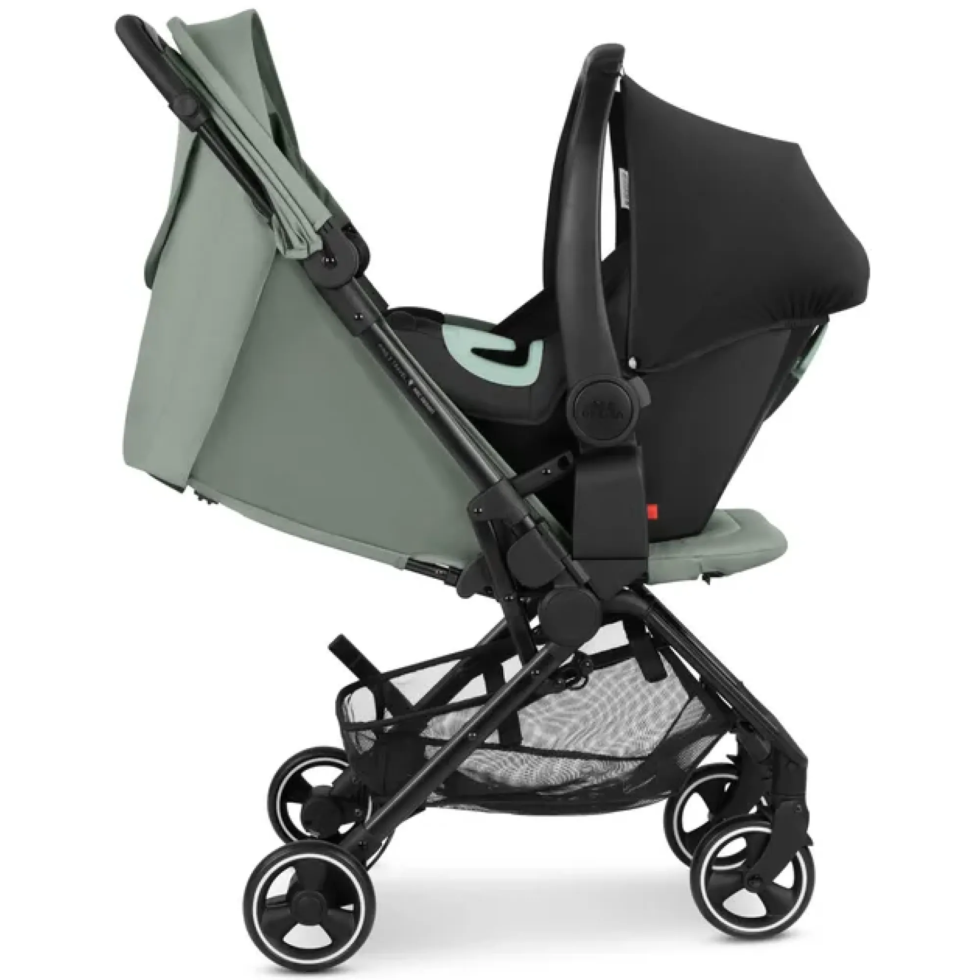 Прогулянкова коляска ABC Design Ping 3 Travel Pine