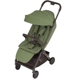 Прогулянкова коляска Anex Air-Q Pistache