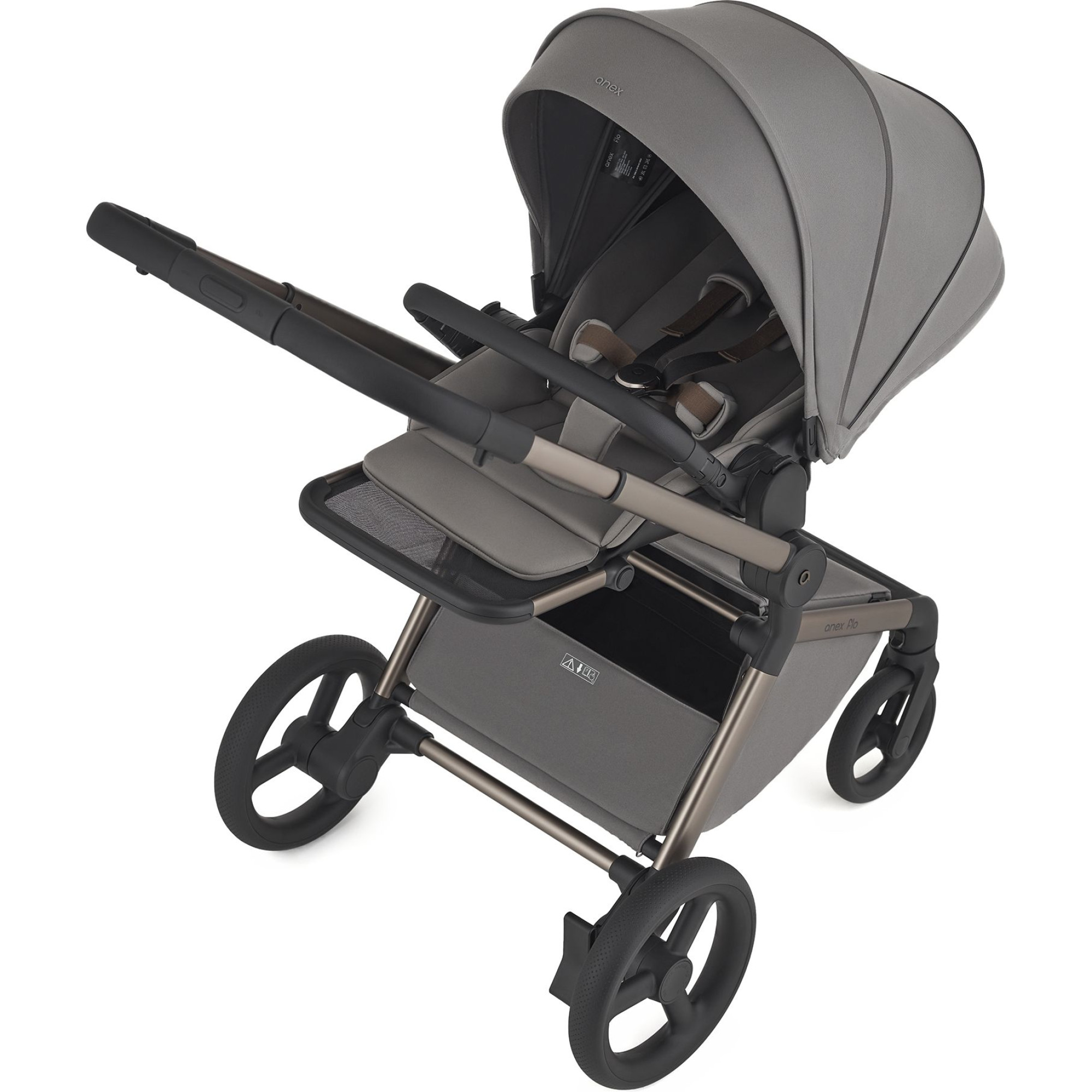 Коляска 2в1 Anex Flo Charm