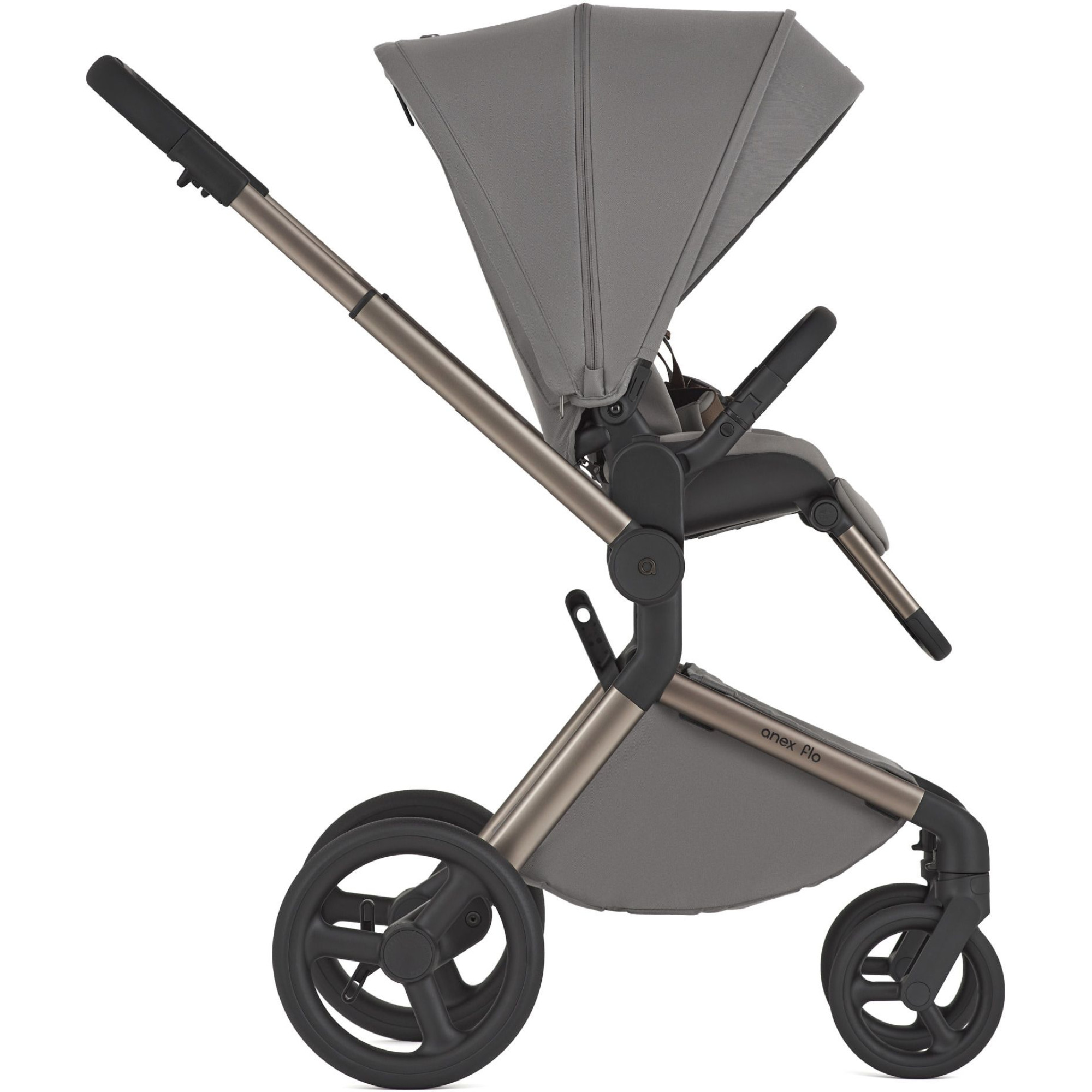 Коляска 2в1 Anex Flo Charm