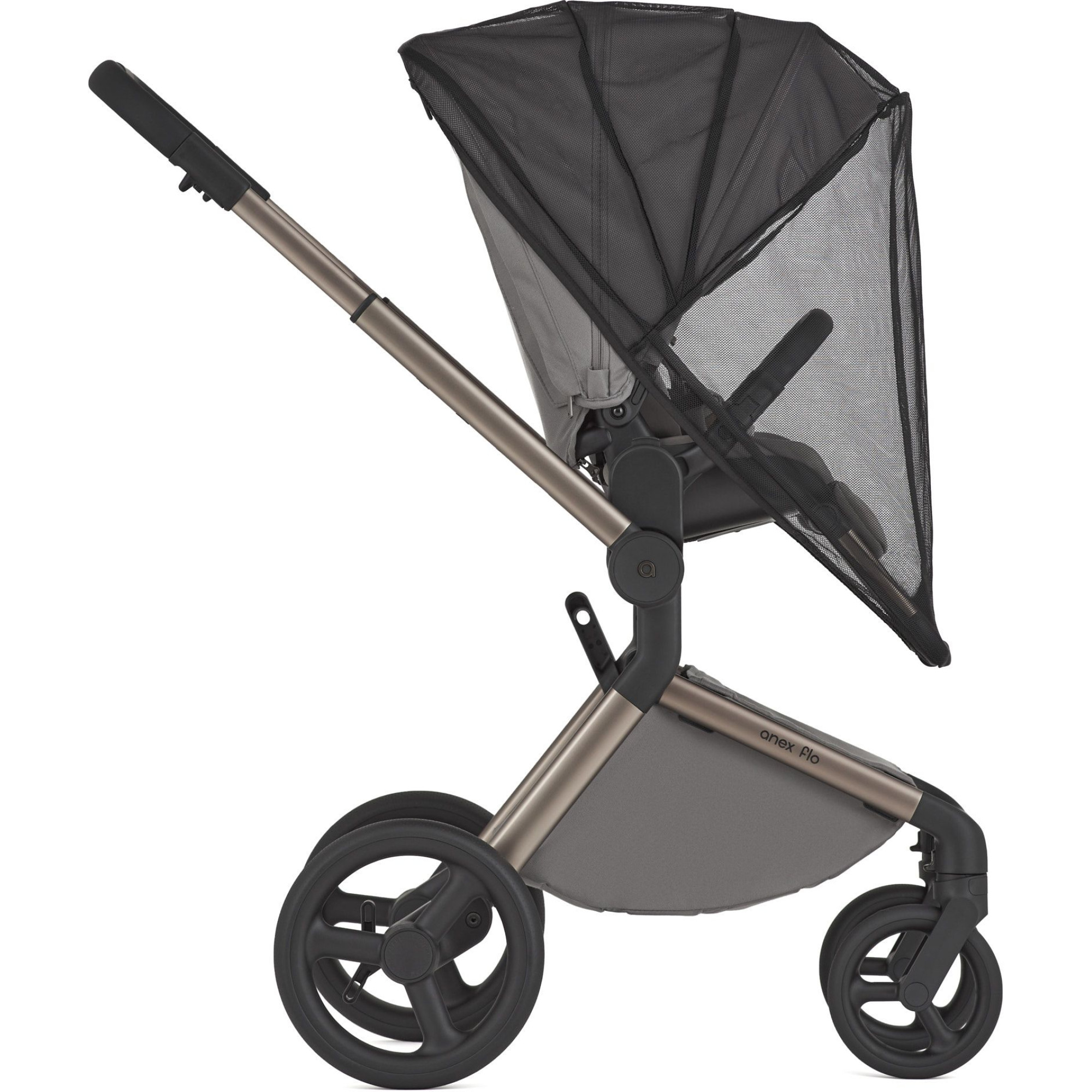 Коляска 2в1 Anex Flo Charm
