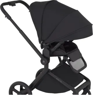 Коляска 2в1 Anex Flo Lungo