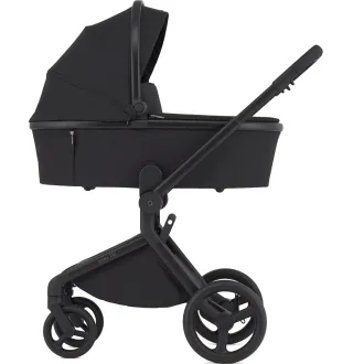 Коляска 2в1 Anex Flo Lungo
