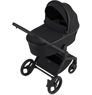 Коляска 2в1 Anex Flo Lungo