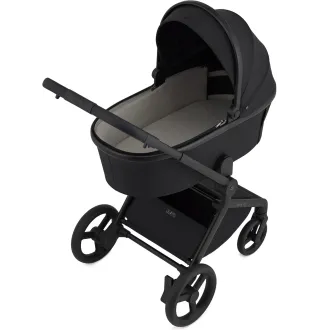 Коляска 2в1 Anex Flo Lungo
