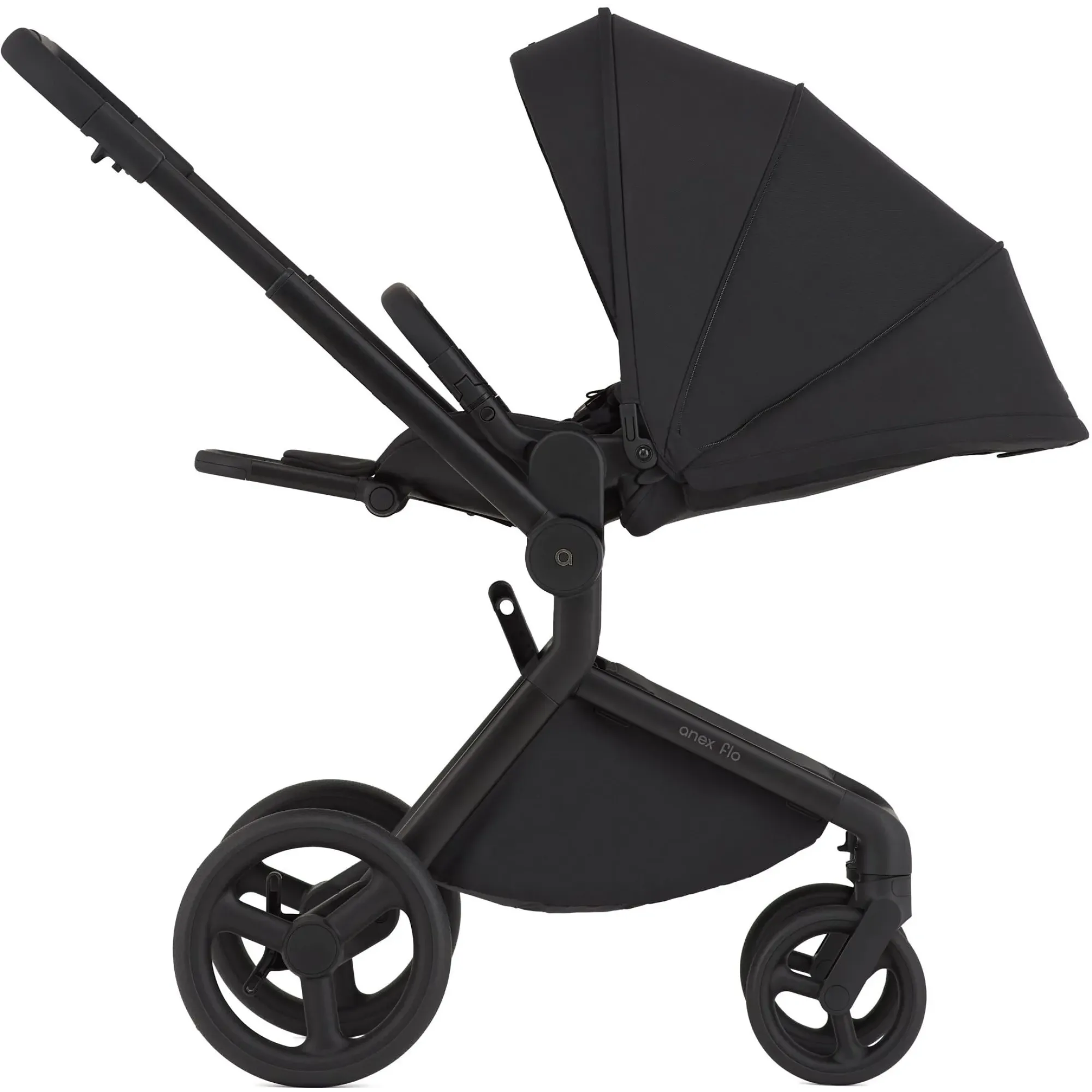 Коляска 2в1 Anex Flo Lungo