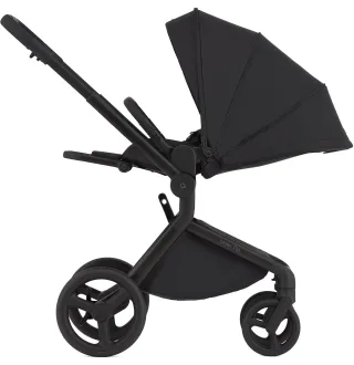 Коляска 2в1 Anex Flo Lungo