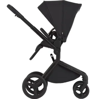 Коляска 2в1 Anex Flo Lungo