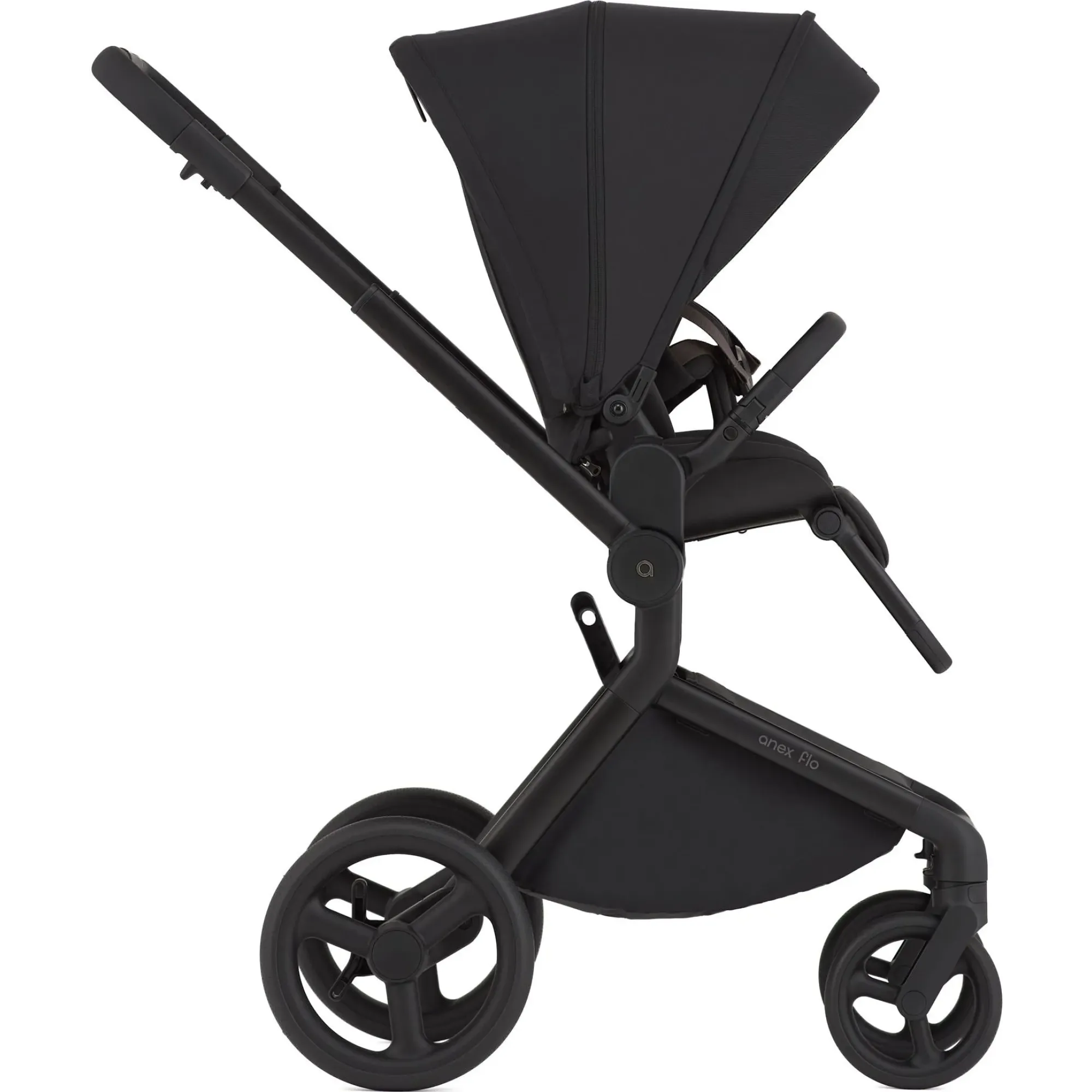 Коляска 2в1 Anex Flo Lungo