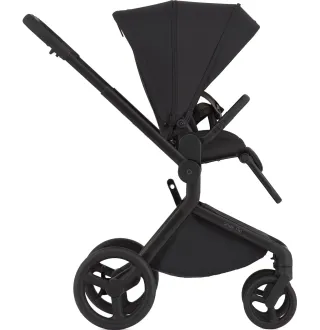 Коляска 2в1 Anex Flo Lungo