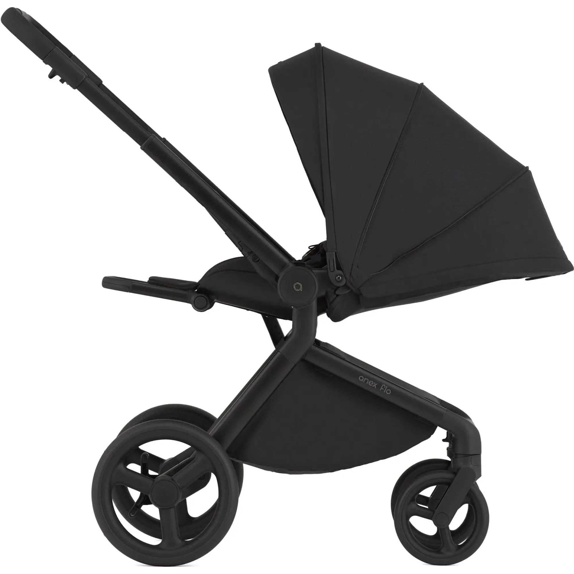 Коляска 2в1 Anex Flo Lungo