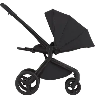Коляска 2в1 Anex Flo Lungo