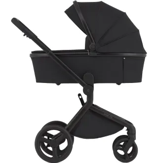 Коляска 2в1 Anex Flo Lungo
