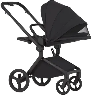 Коляска 2в1 Anex Flo Lungo