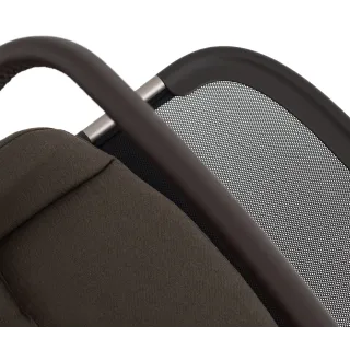 Коляска 2в1 Anex IQ Premium Bruna