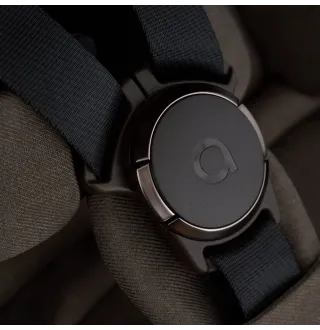Коляска 2в1 Anex IQ Premium Bruna