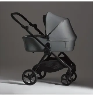 Коляска 2в1 Anex IQ Basic Loft