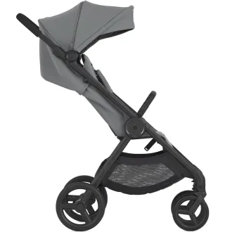 Коляска 2в1 Anex IQ Basic Loft