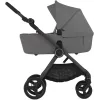 Коляска 2в1 Anex IQ Basic Lune