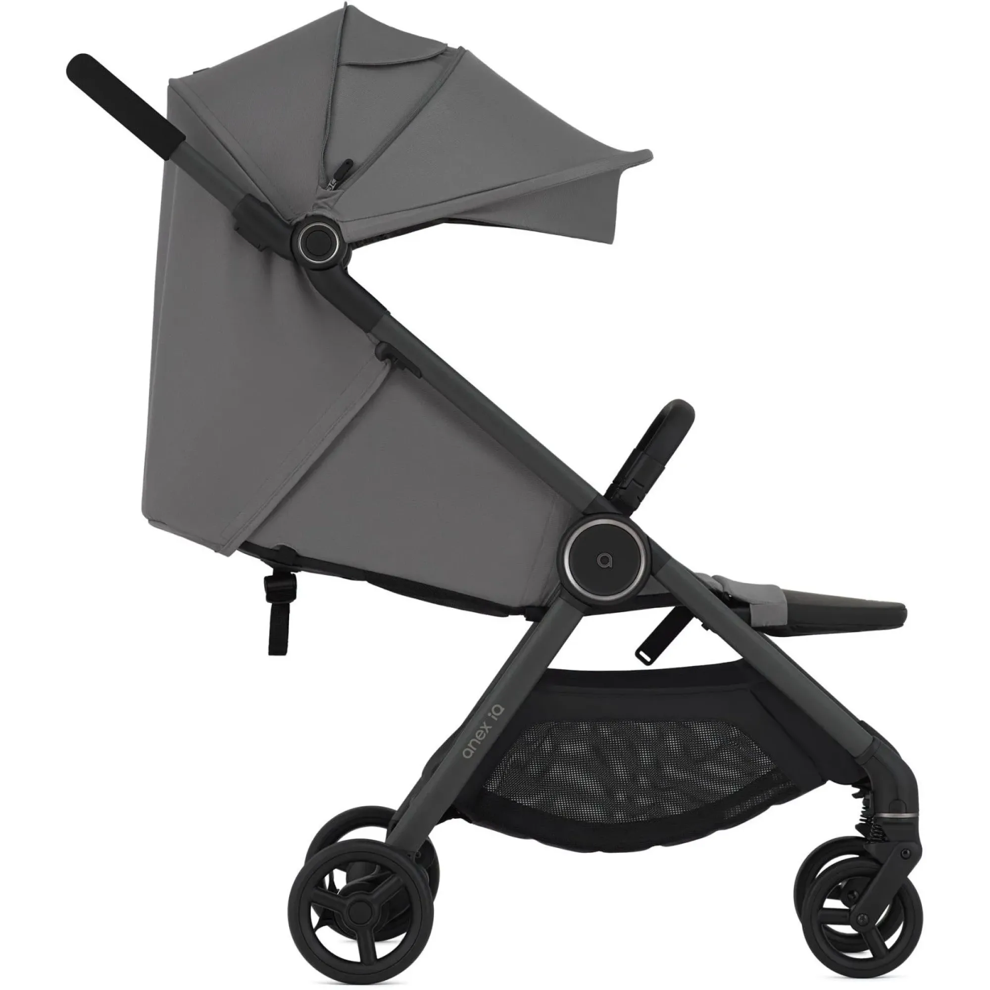 Коляска 2в1 Anex IQ Basic Lune