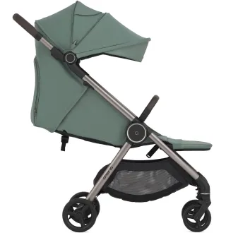 Коляска 2в1 Anex IQ Premium Olly