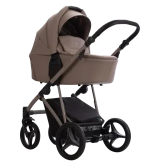 Коляска 2в1 Bebetto Pelpasso PRO 04 Kashmir