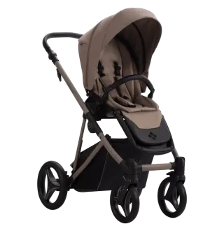 Коляска 2в1 Bebetto Pelpasso PRO 04 Kashmir