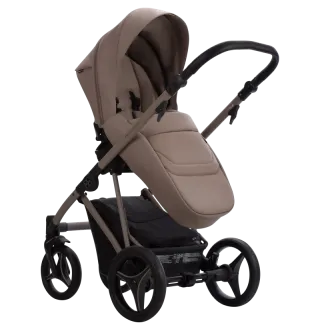Коляска 2в1 Bebetto Pelpasso PRO 04 Kashmir