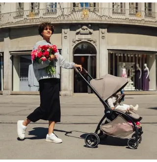 Коляска прогулянкова Britax-Romer Rio Soft Taupe