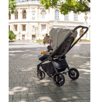 Коляска 2в1 Carrello Epica CRL-8510 Silver Grey