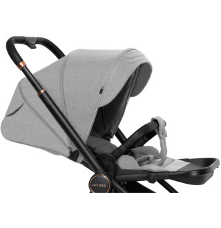 Коляска 2в1 Carrello Epica CRL-8510 Silver Grey