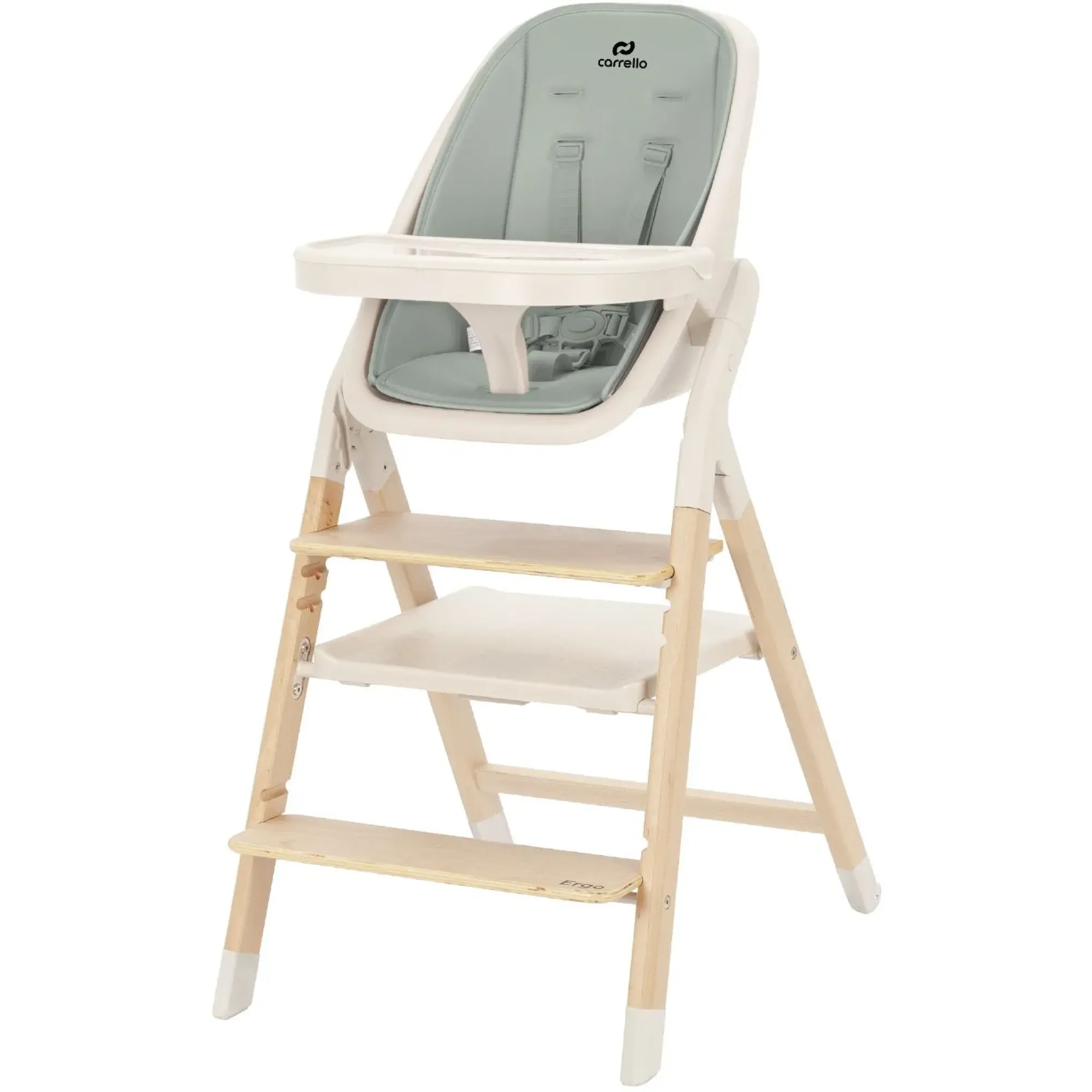 Стілець для годування Carrello Ergo CRL-16701 Elora Green