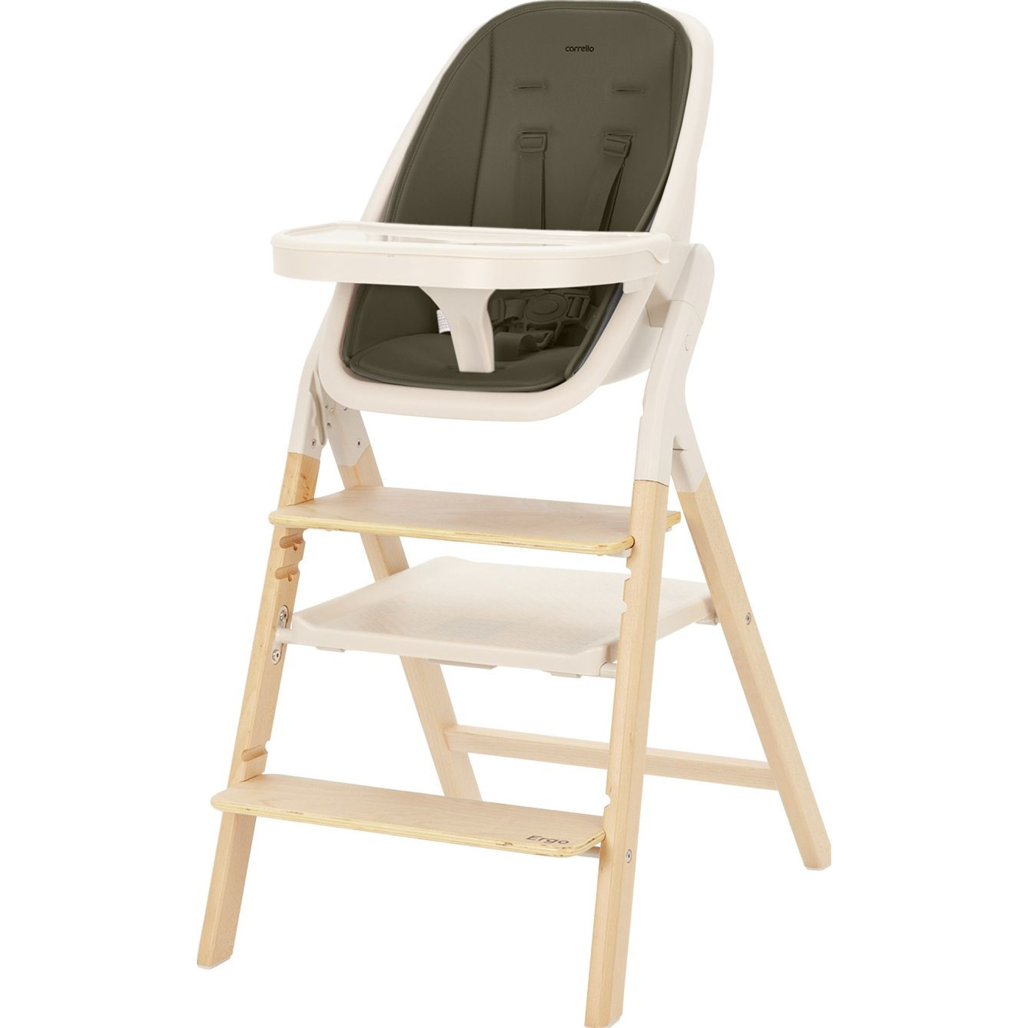 Стілець для годування Carrello Ergo CRL-16701 Pine Green