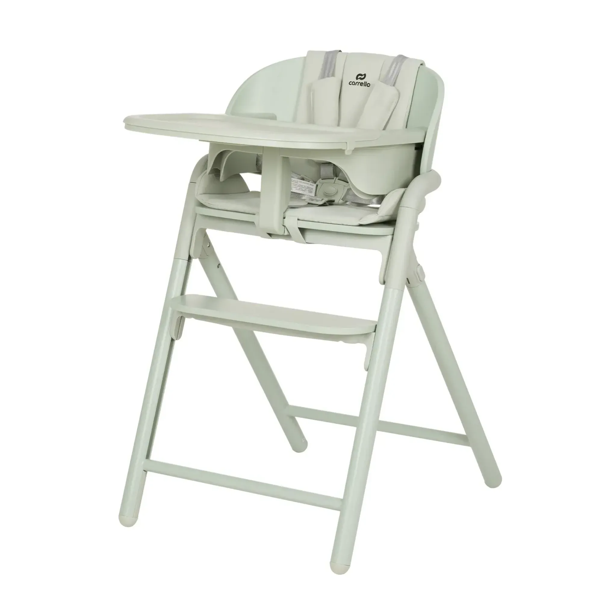 Стілець для годування Carrello Tenero CRL-9507 Elysium Green