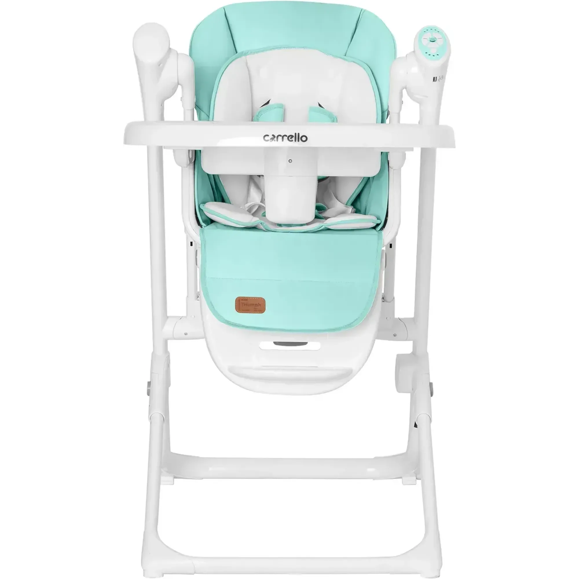Стілець-гойдалка Carrello Triumph CRL-10302 Mint Green