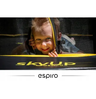 Батут Espiro Sky Up 244см