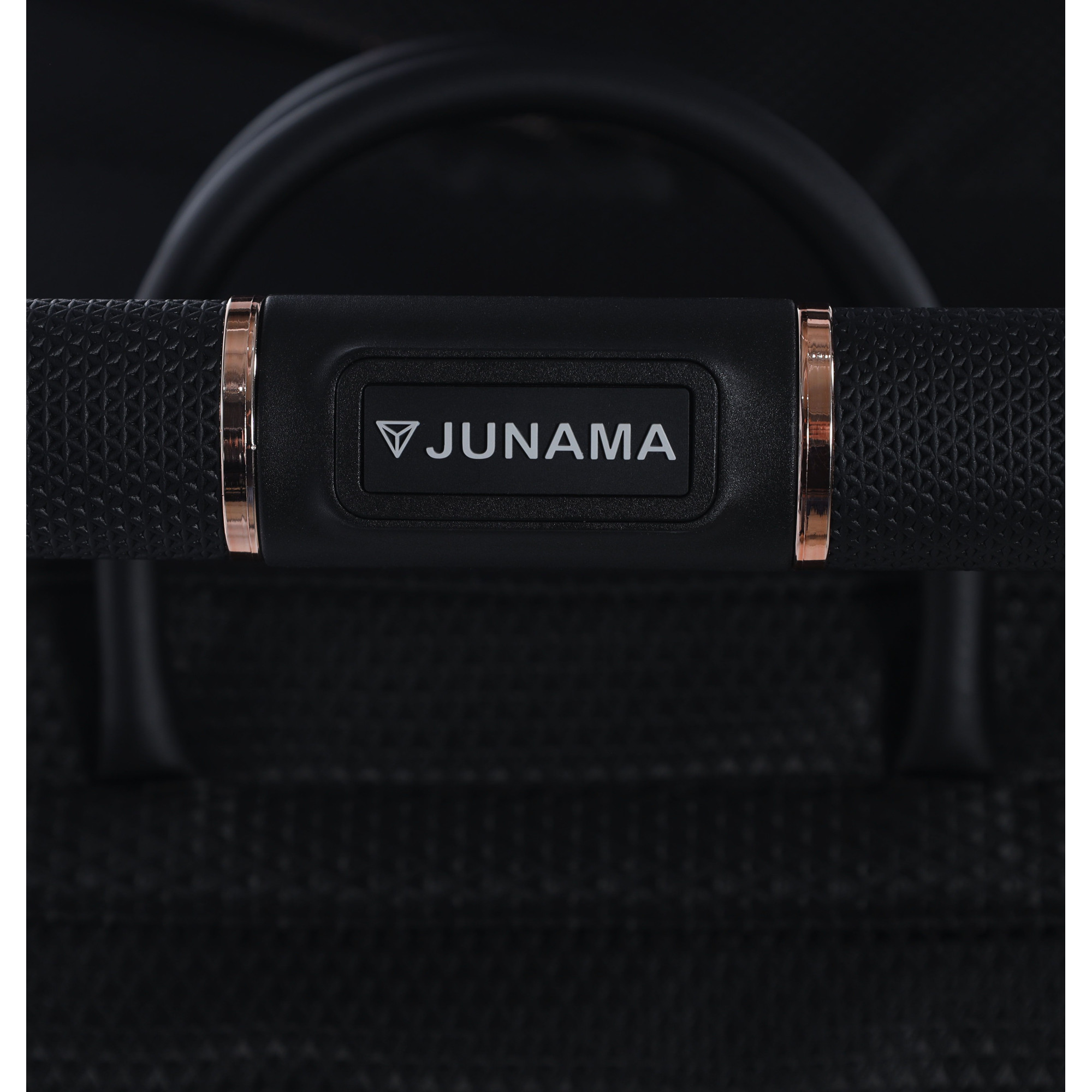 Коляска 2в1 Junama Diamond Mirror Satin 02