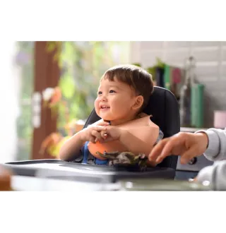 Стільчик для годування Maxi-Cosi Ava Beyond Graphite Eco