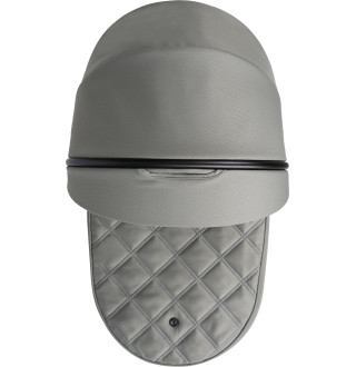 Коляска 2в1 Roan Ivi 2.0 Tea Leaf