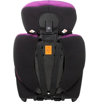 Автокресло Bair Beta DB1824 Черный / Фиолетовый