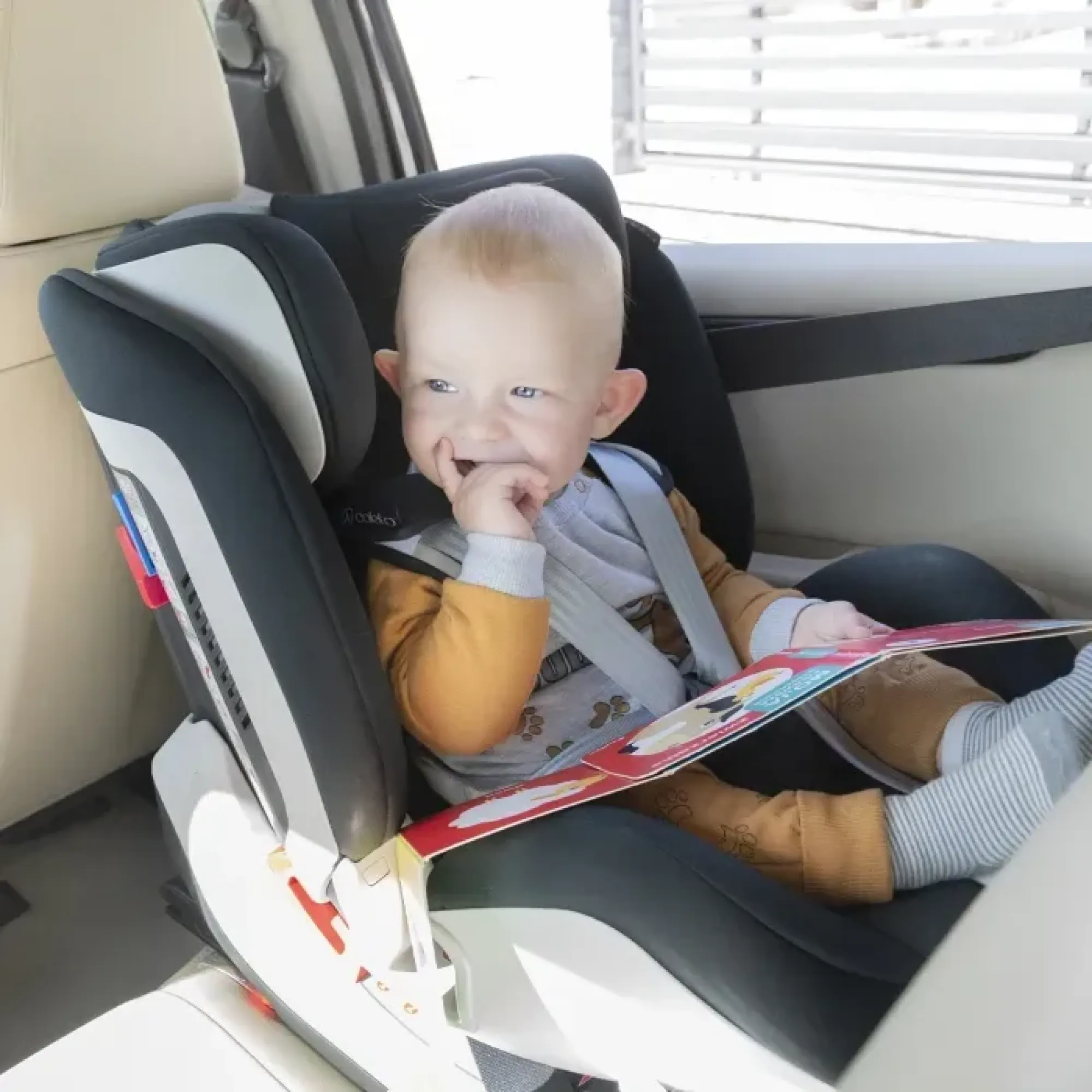 Автокрісло Coletto Vento Isofix Black (чорне)