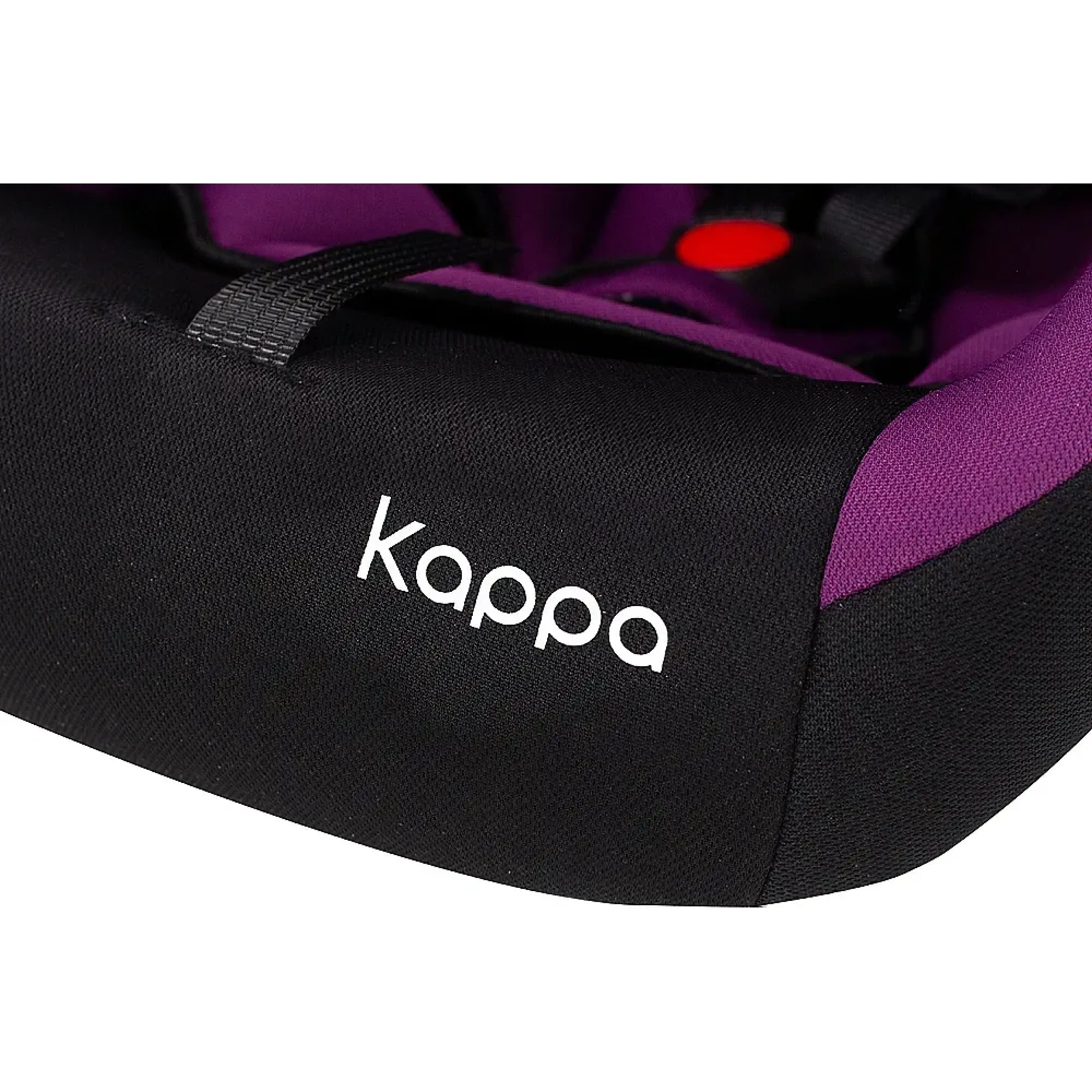 Автокресло Bair Kappa 0+ DK 1824 Черный / Фиолетовый