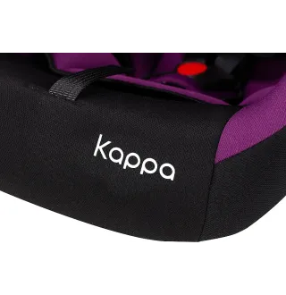 Автокресло Bair Kappa 0+ DK 1824 Черный / Фиолетовый