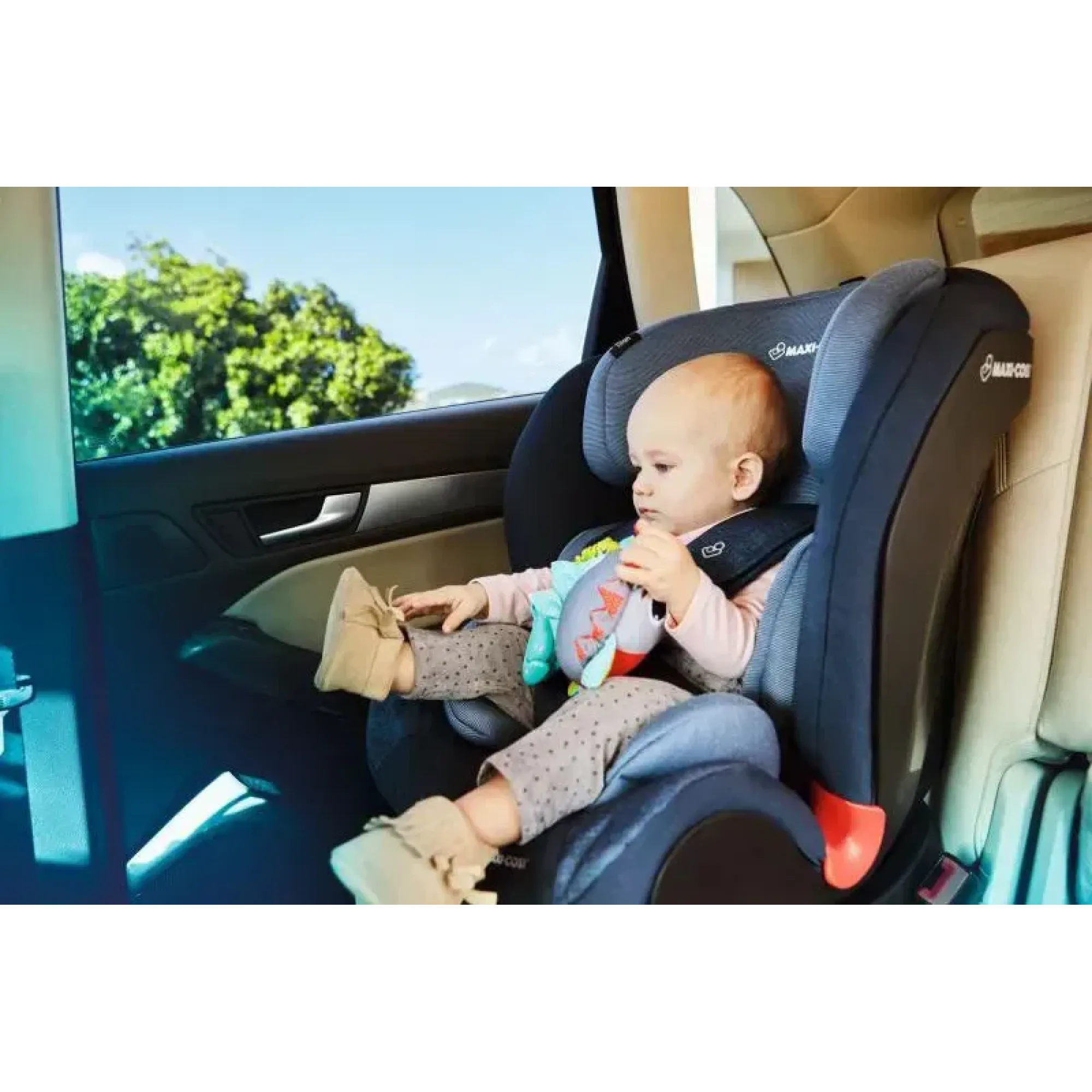 Автокресло Maxi-Cosi Titan Basic Red