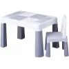 Комплект стіл та стілець Tega Multifun ECO set (table, 1 chair) MF-004-106 grey (сірий)