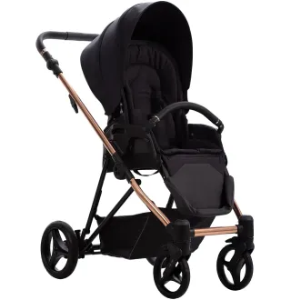 Коляска 2в1 Bebetto Yoddi Premium Stela 02