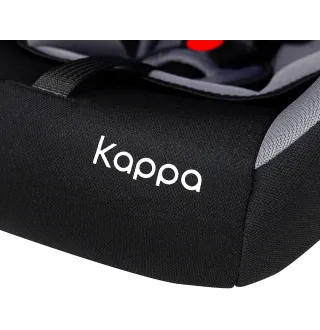 Автокресло Bair Kappa 0+ DK 2423 Черный / Серый