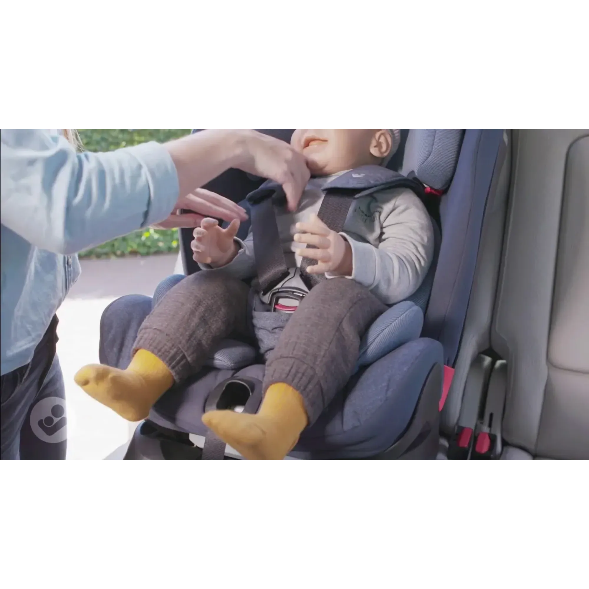 Автокресло Maxi-Cosi Titan Nomad red