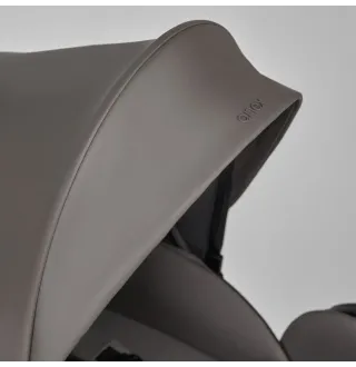 Коляска 2в1 Anex e/type 2023 Luna