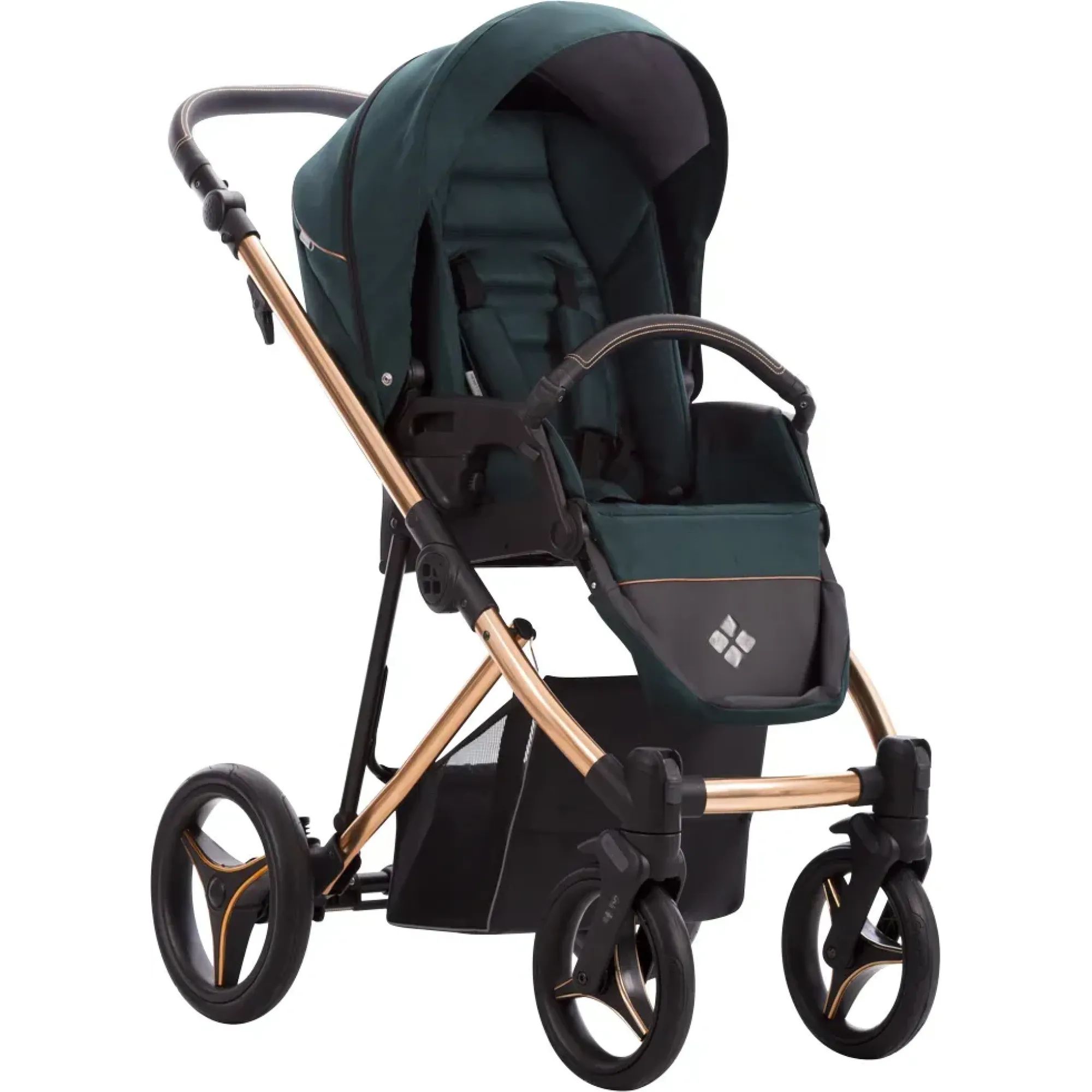 Коляска 2в1 Bebetto Flavio Premium Stela 01